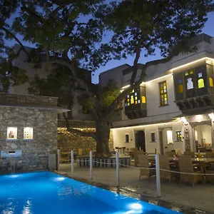 Bed & Breakfast The Neem Tree