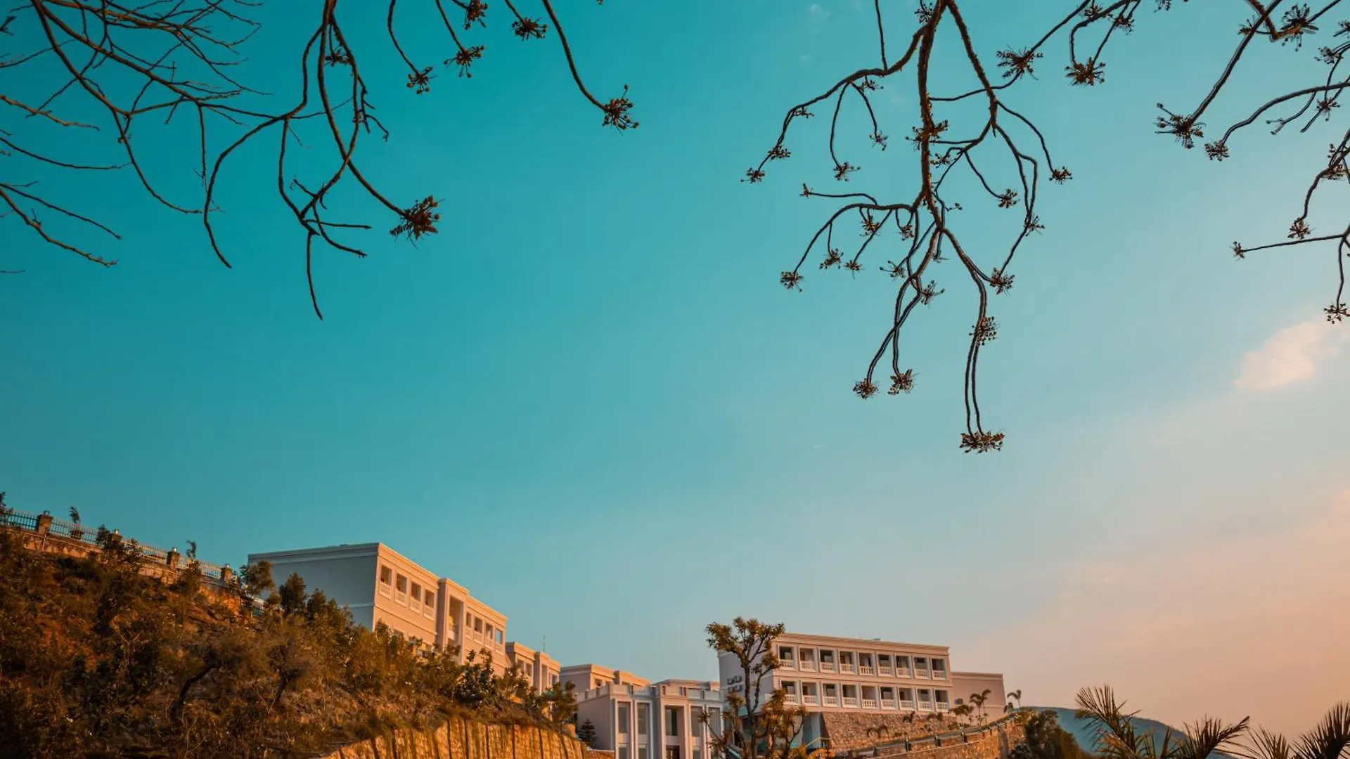 Tree Of Life Vantara Resort & Spa Udaipur